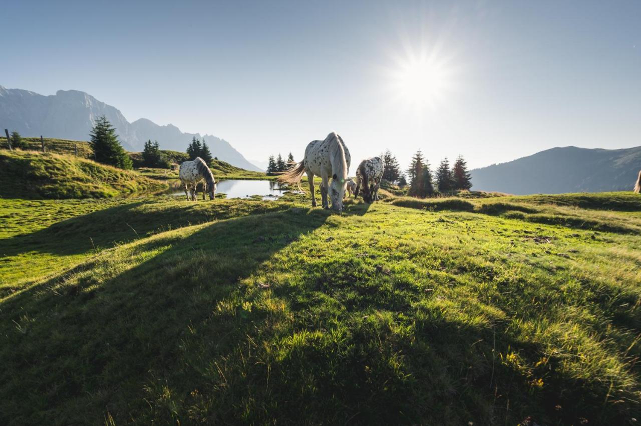 Alpenparks Hotel & Apartment Hochkoenig Mühlbach am Hochkönig Extérieur photo